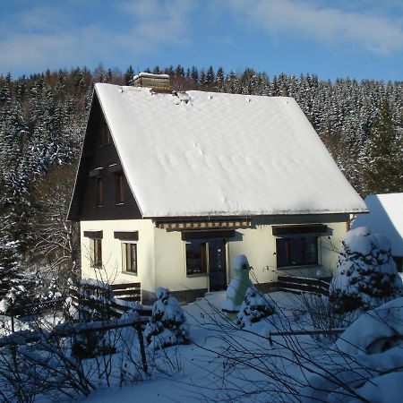 Erzgebirgsdomizil Am Schwartenberg Neuhausen  Zewnętrze zdjęcie