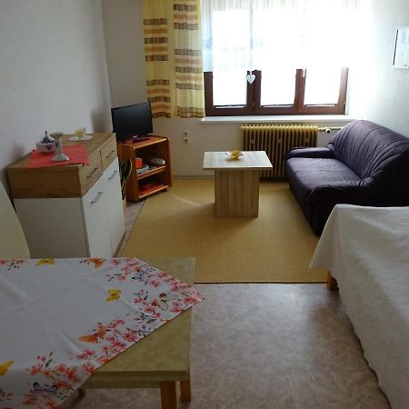 Erzgebirgsdomizil Am Schwartenberg Neuhausen  Zewnętrze zdjęcie