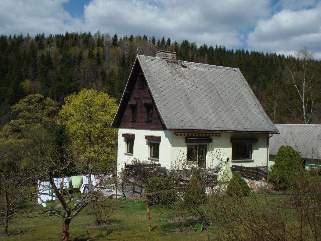 Erzgebirgsdomizil Am Schwartenberg Neuhausen  Zewnętrze zdjęcie