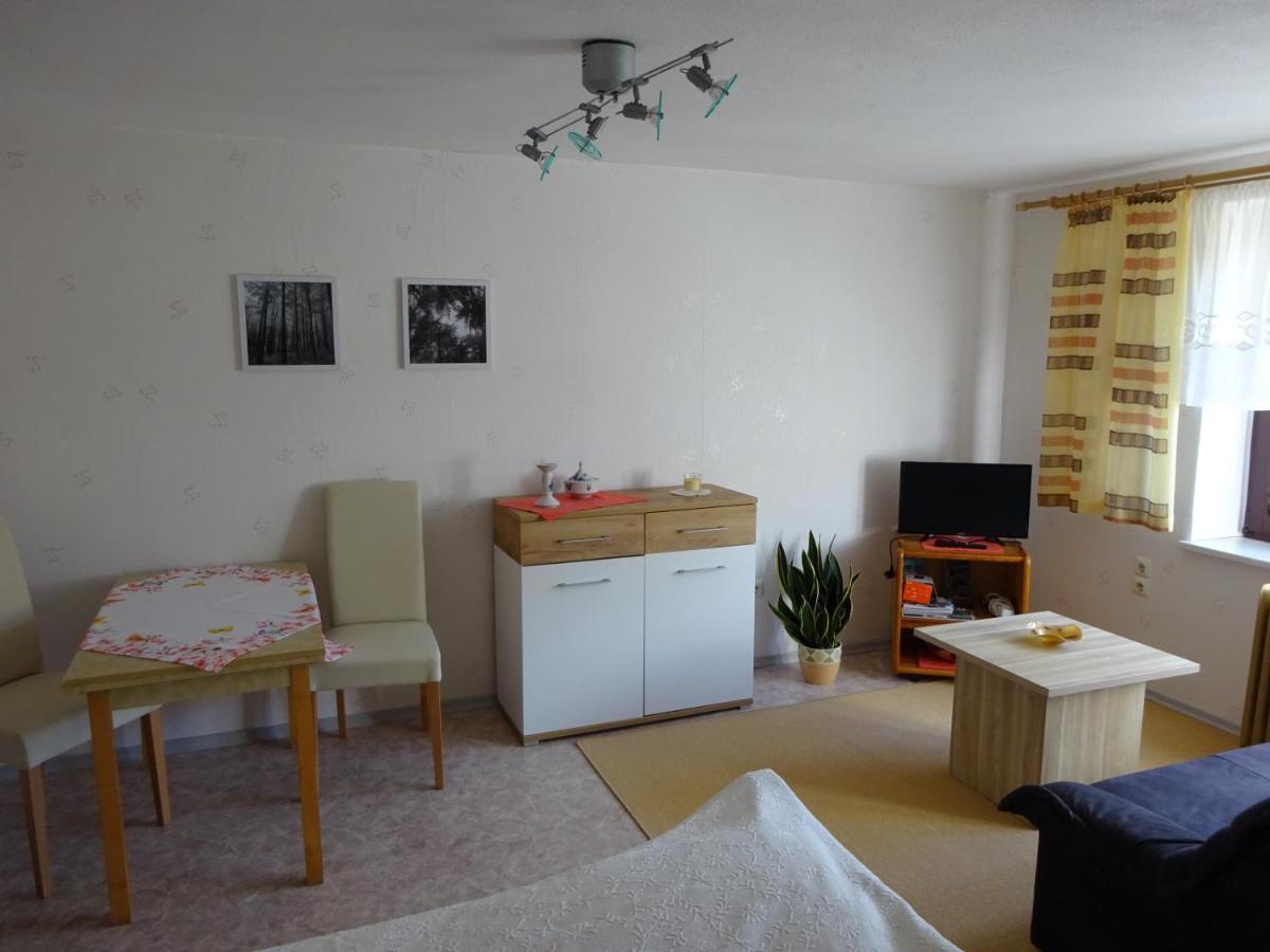 Erzgebirgsdomizil Am Schwartenberg Neuhausen  Zewnętrze zdjęcie